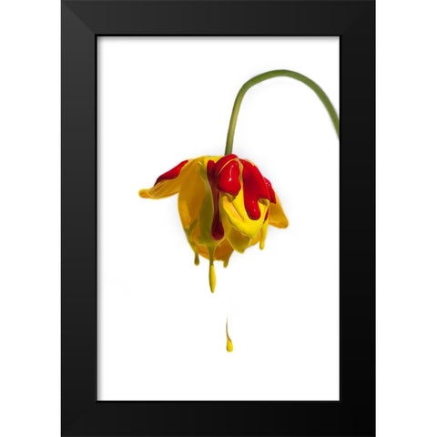 Crying Flower Black Modern Wood Framed Art Print by Mathiesen, Kent