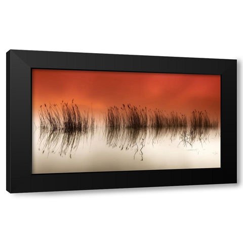 Serenity Black Modern Wood Framed Art Print by David, Rui