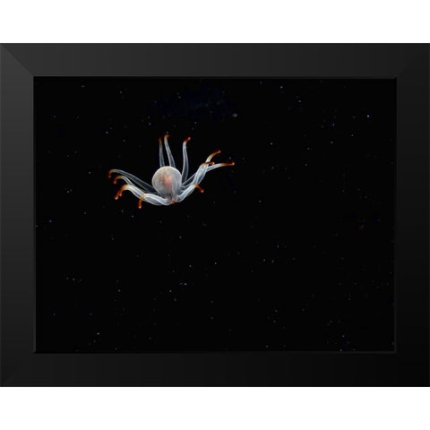 Alien Black Modern Wood Framed Art Print by Barchana, Dani