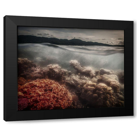 Underwater Evening Black Modern Wood Framed Art Print by Stranak, Pavol