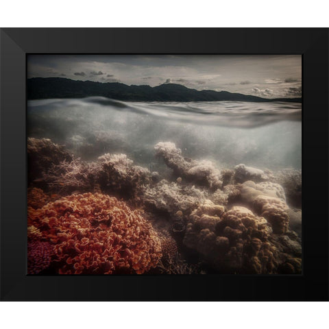 Underwater Evening Black Modern Wood Framed Art Print by Stranak, Pavol