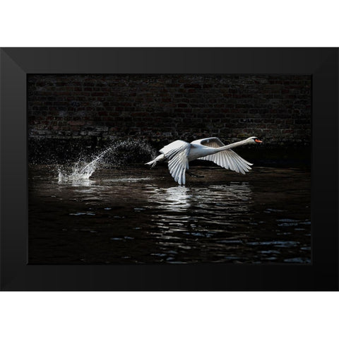 LEnvol Black Modern Wood Framed Art Print by Flour, Piet