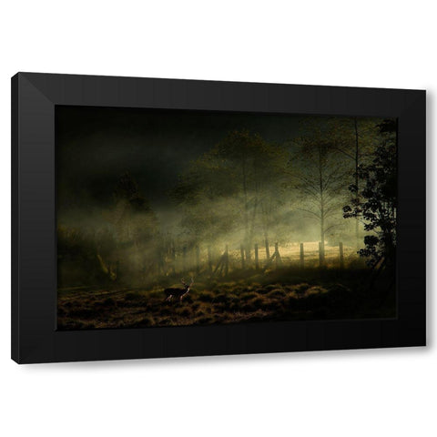 Misty Morning Black Modern Wood Framed Art Print by Rizani, Nunu