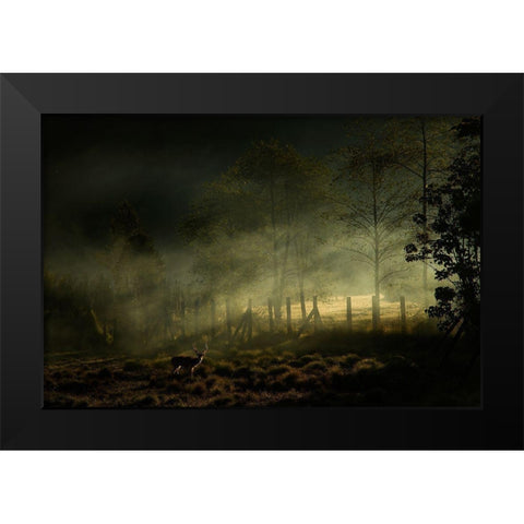 Misty Morning Black Modern Wood Framed Art Print by Rizani, Nunu