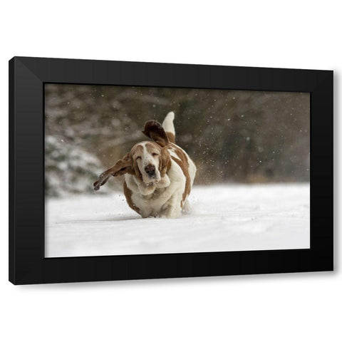 Almost Airborne Black Modern Wood Framed Art Print by Van Den, Gert