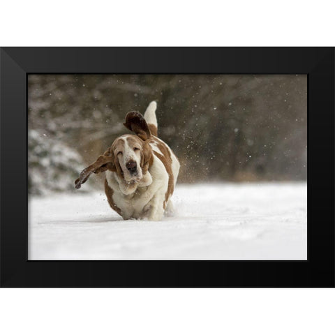 Almost Airborne Black Modern Wood Framed Art Print by Van Den, Gert