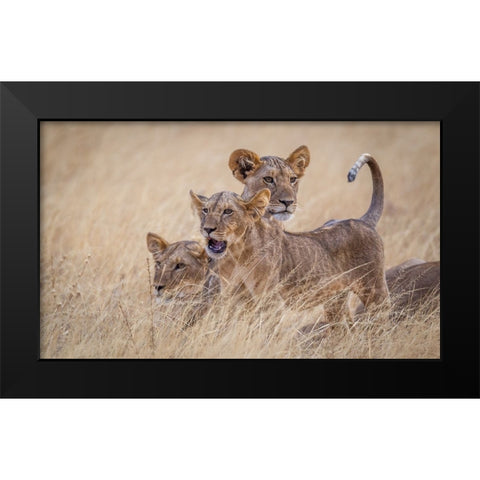 Boys At Play Black Modern Wood Framed Art Print by C. Sink, Jeffrey