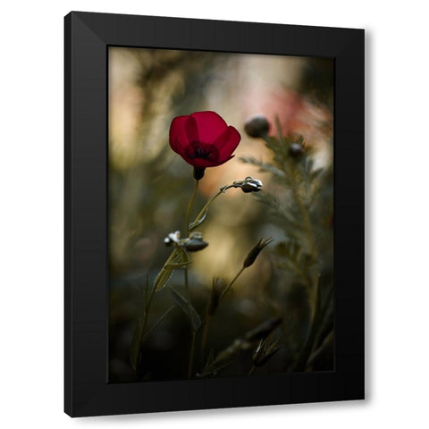 La Bailarina De Flamenco Black Modern Wood Framed Art Print by BRAVIN, Fabien