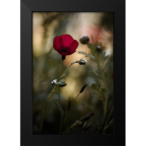 La Bailarina De Flamenco Black Modern Wood Framed Art Print by BRAVIN, Fabien