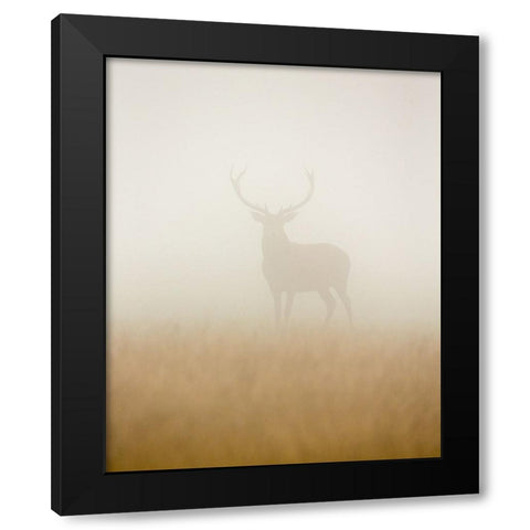 Ghost Stag Black Modern Wood Framed Art Print by Harling, Stuart