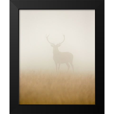 Ghost Stag Black Modern Wood Framed Art Print by Harling, Stuart
