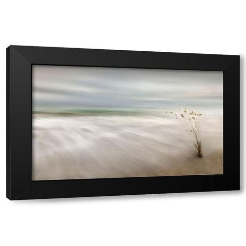 Ears In The Sea Black Modern Wood Framed Art Print by Osuna, Fran