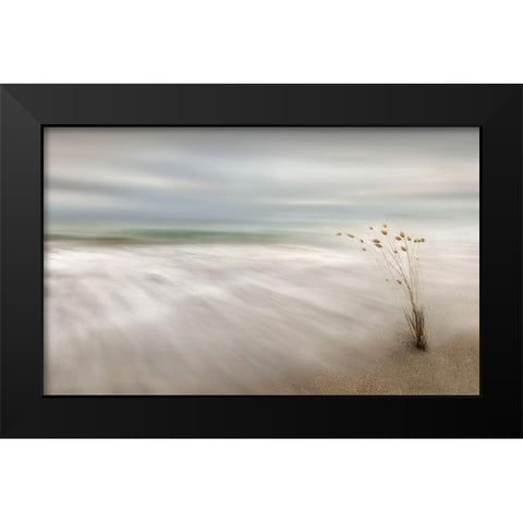 Ears In The Sea Black Modern Wood Framed Art Print by Osuna, Fran