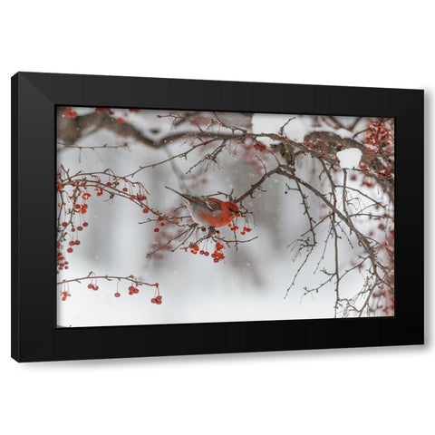 Nihonga Black Modern Wood Framed Art Print with Double Matting by ASAMI, OSAMU