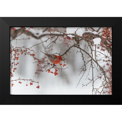 Nihonga Black Modern Wood Framed Art Print by ASAMI, OSAMU