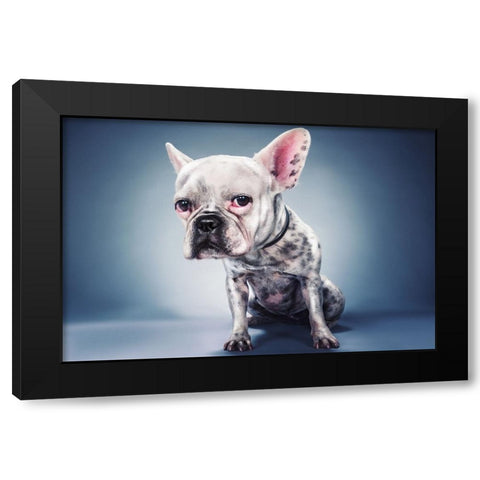 Big Head Project Black Modern Wood Framed Art Print by Nachumovich, Moshe