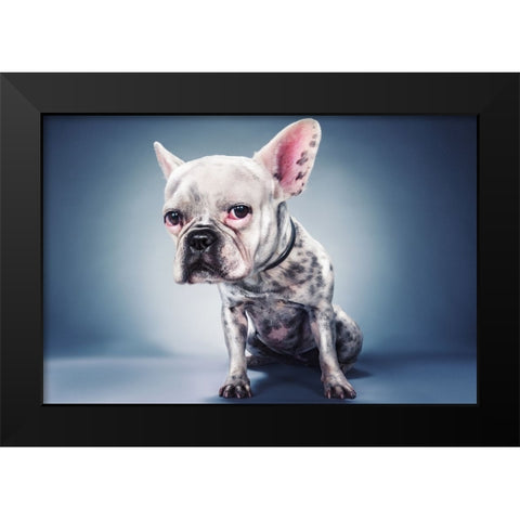 Big Head Project Black Modern Wood Framed Art Print by Nachumovich, Moshe