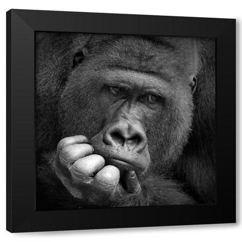 I Had A Dream Black Modern Wood Framed Art Print with Double Matting by Wenner-Braun, Antje