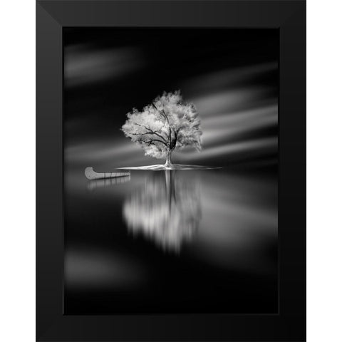 Quiet Black Modern Wood Framed Art Print by David Senechal Photographie