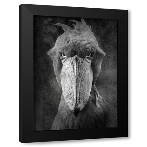 Angry Bird Black Modern Wood Framed Art Print with Double Matting by Lehto, Timo