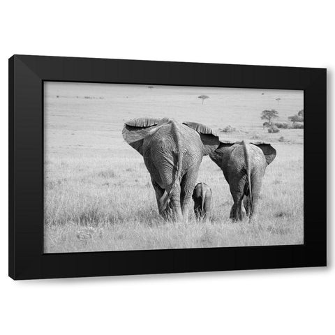 Three Butts! Black Modern Wood Framed Art Print with Double Matting by Khataw, Ali