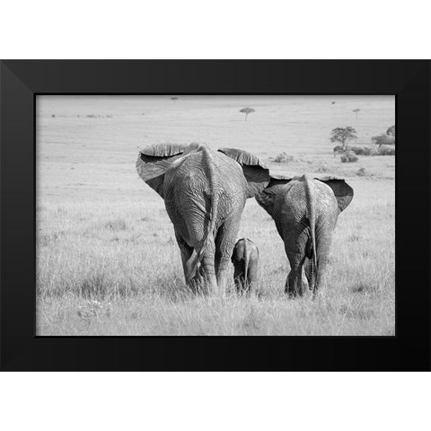 Three Butts! Black Modern Wood Framed Art Print by Khataw, Ali