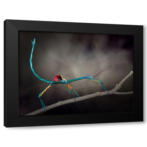 Threat Display Black Modern Wood Framed Art Print by Hoffman, Jimmy