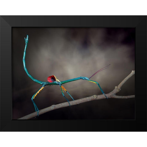 Threat Display Black Modern Wood Framed Art Print by Hoffman, Jimmy