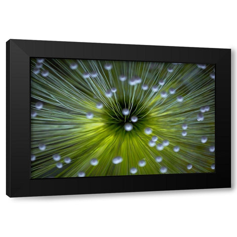 Inverted Commas Black Modern Wood Framed Art Print with Double Matting by Faber, Wave