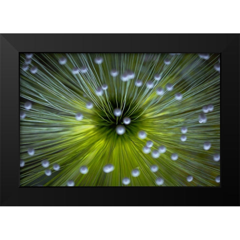 Inverted Commas Black Modern Wood Framed Art Print by Faber, Wave