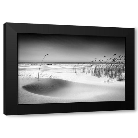 Orchestra Black Modern Wood Framed Art Print with Double Matting by Cirulis, Reinis