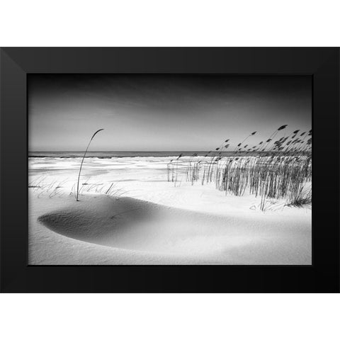 Orchestra Black Modern Wood Framed Art Print by Cirulis, Reinis