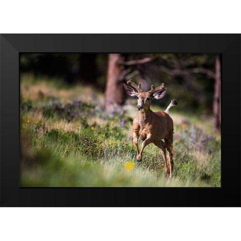 Happyyyyyyy... Black Modern Wood Framed Art Print by Verdon