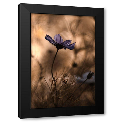 The Dancing Queen Black Modern Wood Framed Art Print with Double Matting by Bravin, Fabien