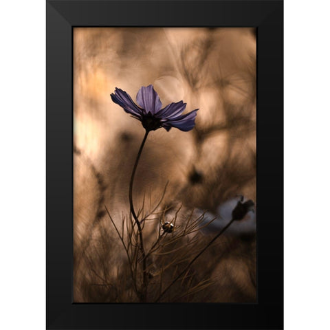 The Dancing Queen Black Modern Wood Framed Art Print by Bravin, Fabien
