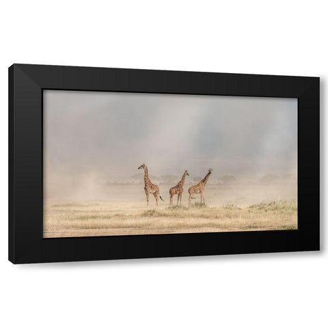 Weathering The Amboseli Dust Devils Black Modern Wood Framed Art Print with Double Matting by C. Sink, Jeffrey