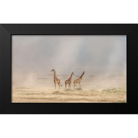 Weathering The Amboseli Dust Devils Black Modern Wood Framed Art Print by C. Sink, Jeffrey