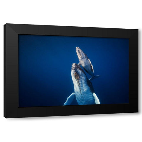 Come Back To The Surface Black Modern Wood Framed Art Print by Gabriel, Barathieu