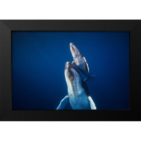 Come Back To The Surface Black Modern Wood Framed Art Print by Gabriel, Barathieu