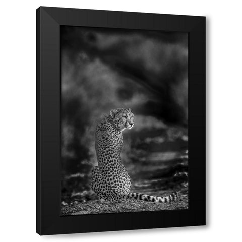 The Look Back Black Modern Wood Framed Art Print by Marx, Jaco