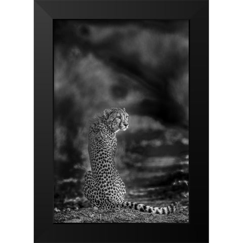 The Look Back Black Modern Wood Framed Art Print by Marx, Jaco
