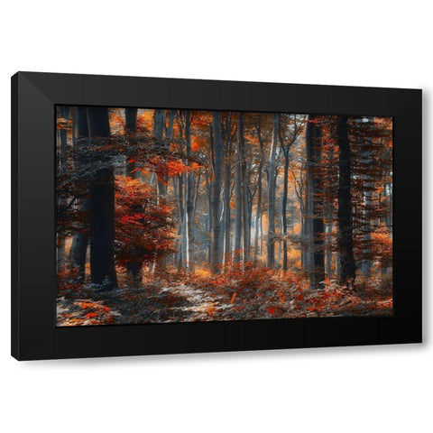 Painting Forest Black Modern Wood Framed Art Print with Double Matting by Neer, Ildiko