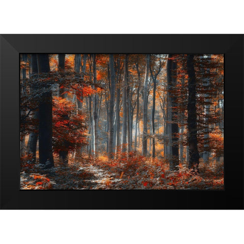 Painting Forest Black Modern Wood Framed Art Print by Neer, Ildiko
