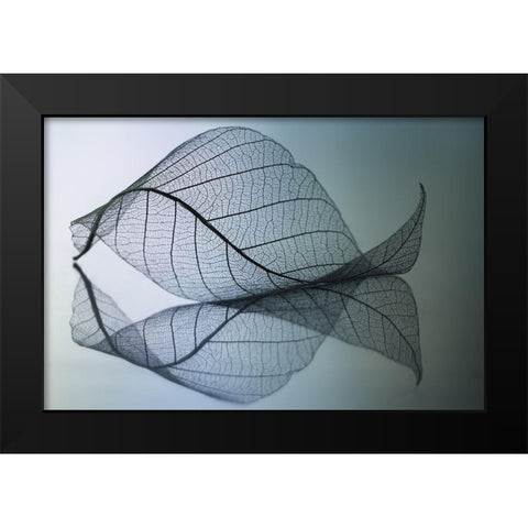 Curvaceousness Black Modern Wood Framed Art Print by Kowatari, Shihya