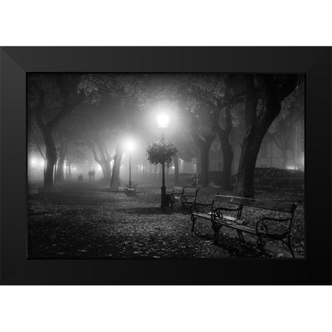 Foggy Day Black Modern Wood Framed Art Print by Nikoloulis, Ilias