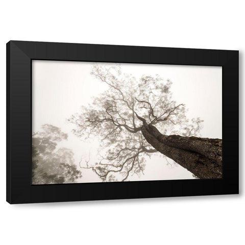 Between Heaven And Earth Black Modern Wood Framed Art Print with Double Matting by Wrobel, Karsten