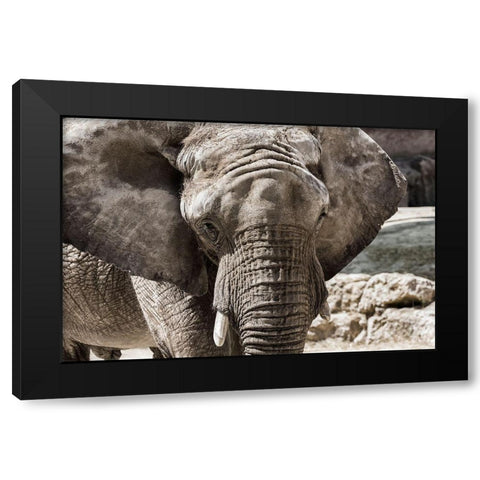 The Boss Black Modern Wood Framed Art Print with Double Matting by Araujo, Nuno