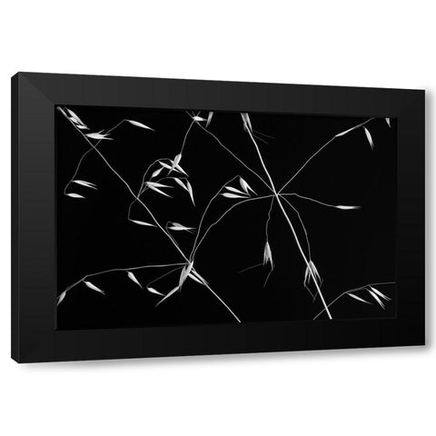 Crossed Lines Black Modern Wood Framed Art Print with Double Matting by Azevedo, Olavo