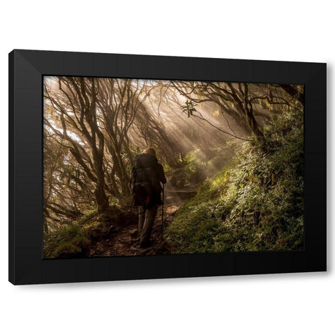 Through The Enchanted Forest Black Modern Wood Framed Art Print with Double Matting by Wrobel, Karsten