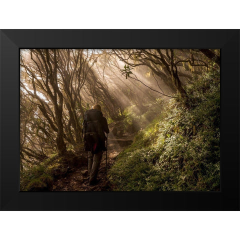 Through The Enchanted Forest Black Modern Wood Framed Art Print by Wrobel, Karsten